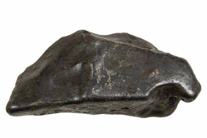 Fusion Crusted Sikhote-Alin Iron Meteorite ( g) - Russia #334601